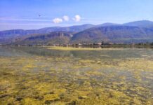 Η λιμνοθάλασσα εκπέμπει SOS