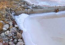 Υπεβλήθη φάκελος για ΠΓΕ για το θαλασσινό αλάτι με το όνομα “Αφρίνα Μεσολογγίου”