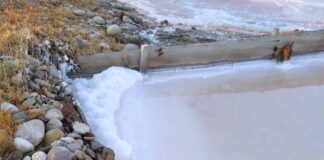 Υπεβλήθη φάκελος για ΠΓΕ για το θαλασσινό αλάτι με το όνομα “Αφρίνα Μεσολογγίου”