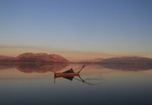 Λιμνοθάλασσα Μεσολογγίου, από τους πλουσιότερους υγρότοπους της Ευρώπης