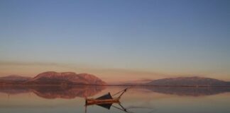 Λιμνοθάλασσα Μεσολογγίου, από τους πλουσιότερους υγρότοπους της Ευρώπης