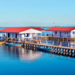 ΜΕΣΟΛΟΓΓΙ και Λιμνοθάλασσα