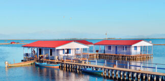 ΜΕΣΟΛΟΓΓΙ και Λιμνοθάλασσα