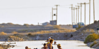 Balneotherapy in Medicine: A Review