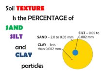 01 – Silt – Clay – Mud – Sand – Soil: What Is The Difference?