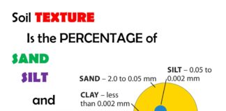 01 – Silt – Clay – Mud – Sand – Soil: What Is The Difference?