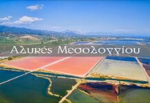 Αλυκές Μεσολογγίου