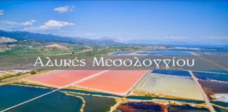 Αλυκές Μεσολογγίου