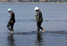 Αγία Τριάδα Μεσολογγίου