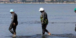 Αγία Τριάδα Μεσολογγίου