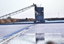 Η διαδικασία συγκομιδής του αλατιού στις αλυκές του Μεσολογγίου