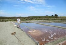 Αλάτι Αφρίνα: Δεσμός με την γεωγραφική περιοχή Μεσολογγίου