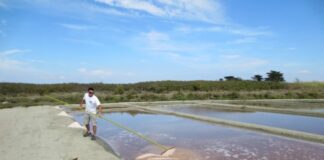 Αλάτι Αφρίνα: Δεσμός με την γεωγραφική περιοχή Μεσολογγίου