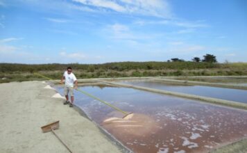 Αλάτι Αφρίνα: Δεσμός με την γεωγραφική περιοχή Μεσολογγίου