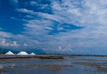 Έξυπνη προβολή για το Μεσολόγγι (Mission Afrina-Βίντεο)