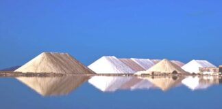 «Ελληνικές Αλυκές Α.Ε.»: Νέα επενδυτικά σχέδια