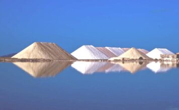 «Ελληνικές Αλυκές Α.Ε.»: Νέα επενδυτικά σχέδια