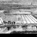 Η ιστορία του αλατιού χάνεται στα βάθη των αιώνων