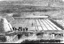 Η ιστορία του αλατιού χάνεται στα βάθη των αιώνων