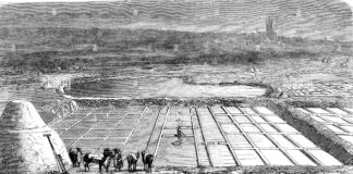 Η ιστορία του αλατιού χάνεται στα βάθη των αιώνων