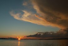 Το οικοσύστημα των λιμνοθαλασσών Μεσολογγίου-Αιτωλικού