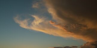 Το οικοσύστημα των λιμνοθαλασσών Μεσολογγίου-Αιτωλικού