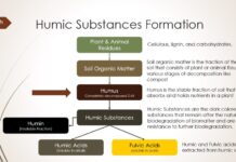 Λιπόφιλα συστατικά διάφορων ειδών θεραπευτικής λάσπης