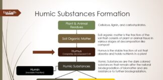 Λιπόφιλα συστατικά διάφορων ειδών θεραπευτικής λάσπης