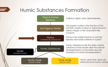 Λιπόφιλα συστατικά διάφορων ειδών θεραπευτικής λάσπης