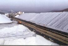 Αλυκές Μεσολογγίου