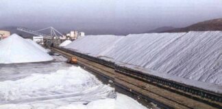 Αλυκές Μεσολογγίου