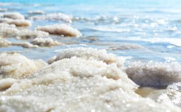 Βιολογικό αλάτι