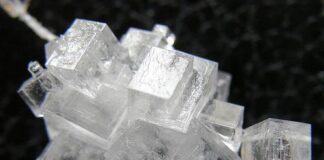 Types of Salts in Seawater