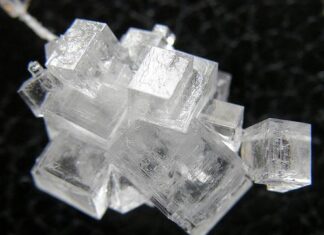 Types of Salts in Seawater