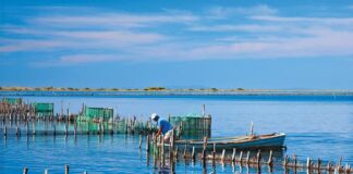 Η λιμνοθάλασσα ανήκει σε όλη την κοινωνία – Αγώνας για ζωή, νερό, ελευθερία