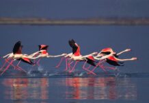 H Λιμνοθάλασσα Μεσολογγίου σε περιμένει για ένα αξέχαστο τρίημερο