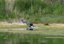 ΕΙΝΑΙ Ο ΔΡΟΜΟΣ ΤΟΥ ΠΟΡΟΥ ΤΟ ΠΡΟΒΛΗΜΑ ΤΗΣ ΝΙΔΟΒΑΣ;