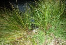 Η ΝΙΔΟΒΑ ΤΟΥ ΑΙΤΩΛΙΚΟΥ ΜΟΛΥΝΕΤΑΙ ΑΝΕΞΕΛΕΓΚΤΑ