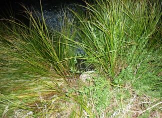 Η ΝΙΔΟΒΑ ΤΟΥ ΑΙΤΩΛΙΚΟΥ ΜΟΛΥΝΕΤΑΙ ΑΝΕΞΕΛΕΓΚΤΑ