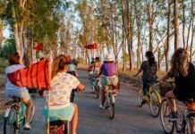 Το Αλσύλλιο στην λιμνοθάλασσα που νίκησε τον σκουπιδότοπο