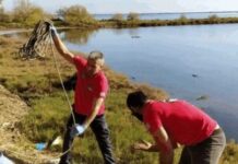 Μεσολόγγι: Η ΕΟΕΔ ανέλκυσε ελαστικά από την λιμνοθάλασσα της Κλείσοβας