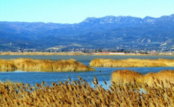 Έκκληση προς όλους τους Δημοτικούς Συμβούλους Μεσολογγίου