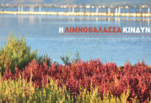Εθνικό Πάρκο Λιμνοθάλασσας Μεσολογγίου – Μία μεθοδευμένη αδειοδότηση θέτει σε κίνδυνο το οικοσύστημα