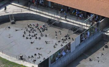 ΛΑΣΠΟΘΕΡΑΠΕΙΑ