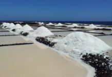 Το αιτημα για καταχωρηση της «Αφρινα» ως ΠΓΕ στο Μητρωο της ΕΕ, εφθασε στην Κομισιον